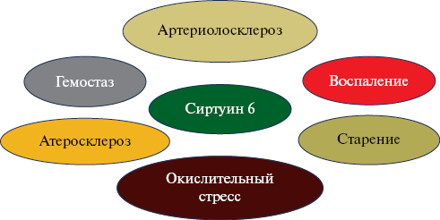 Изображение на обложке