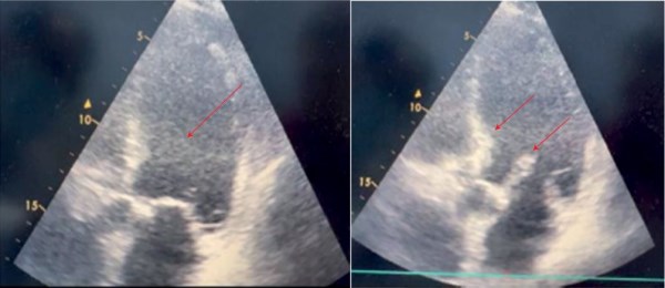 Изображение на обложке