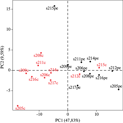 Изображение на обложке