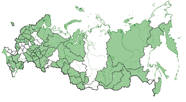 Изображение на обложке