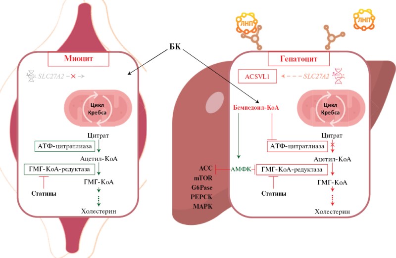 Изображение на обложке