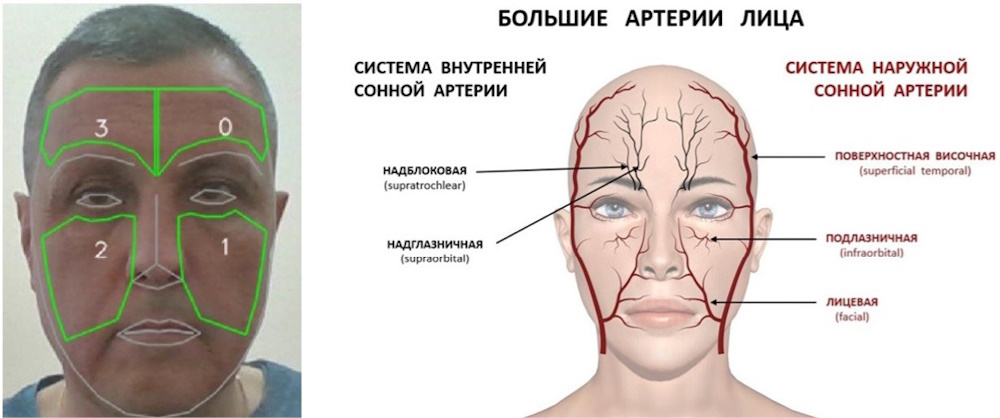 Изображение на обложке